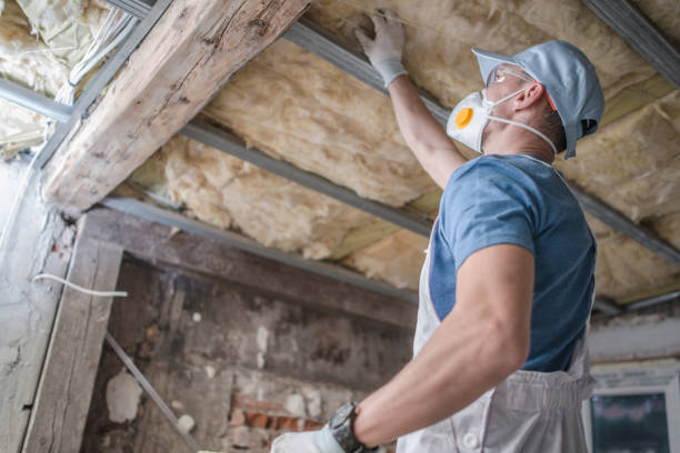 Best Attic Insulation Installation  in Lamont, MI