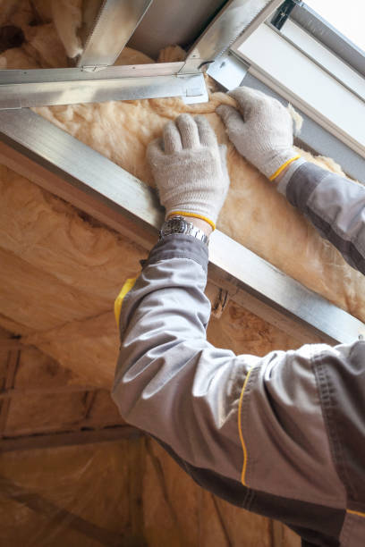 Professional Insulation Contractor in Lamont, MI