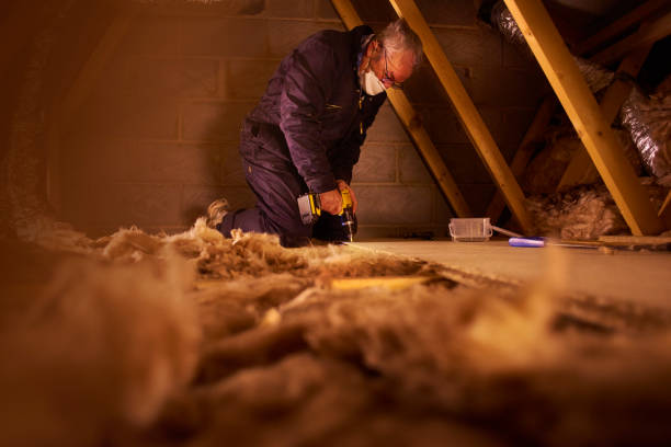 Best Insulation Contractor Near Me  in Lamont, MI